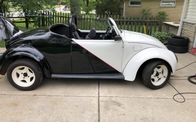 The Black and White Bug